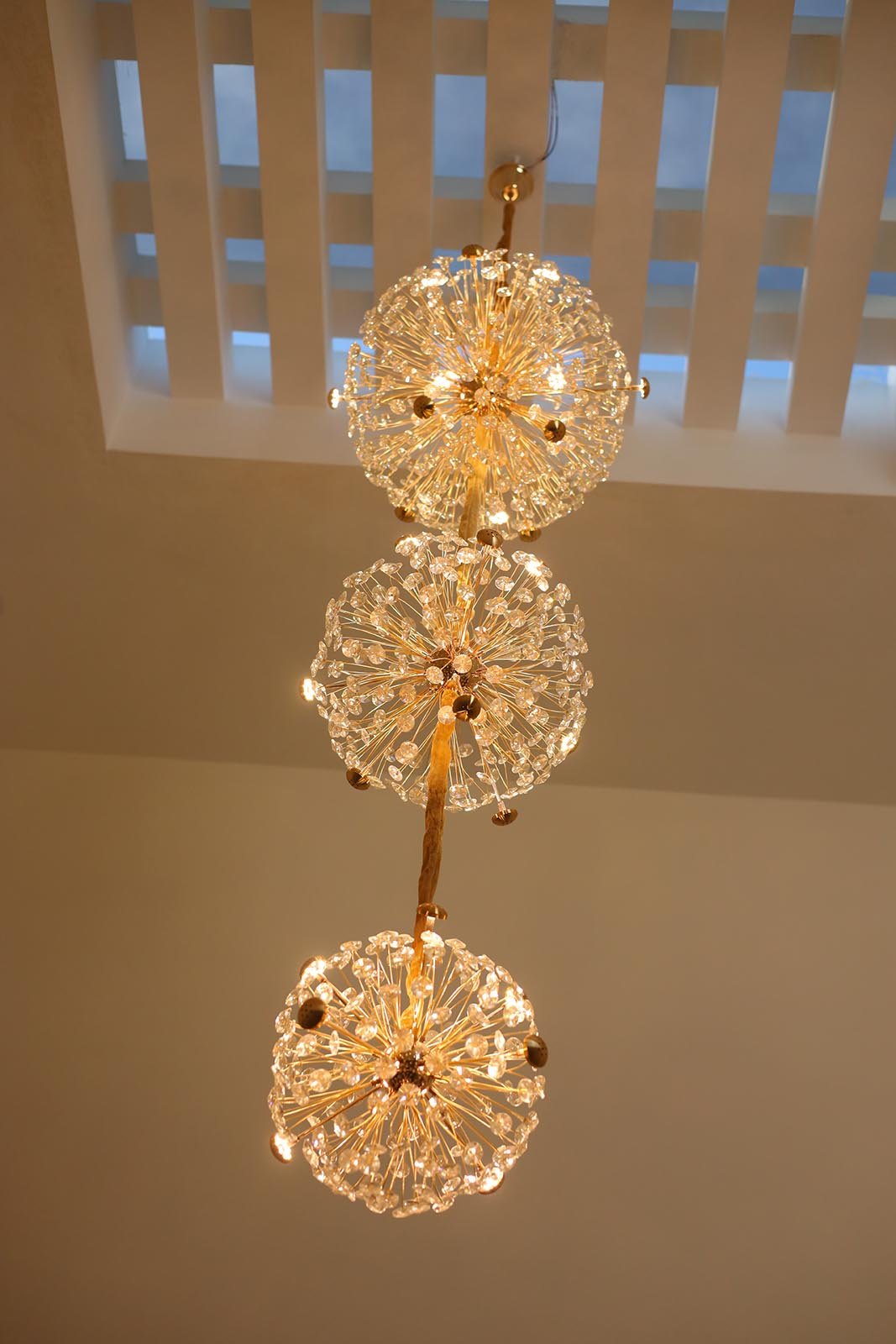 Mr. Rajendran Gallery (24)