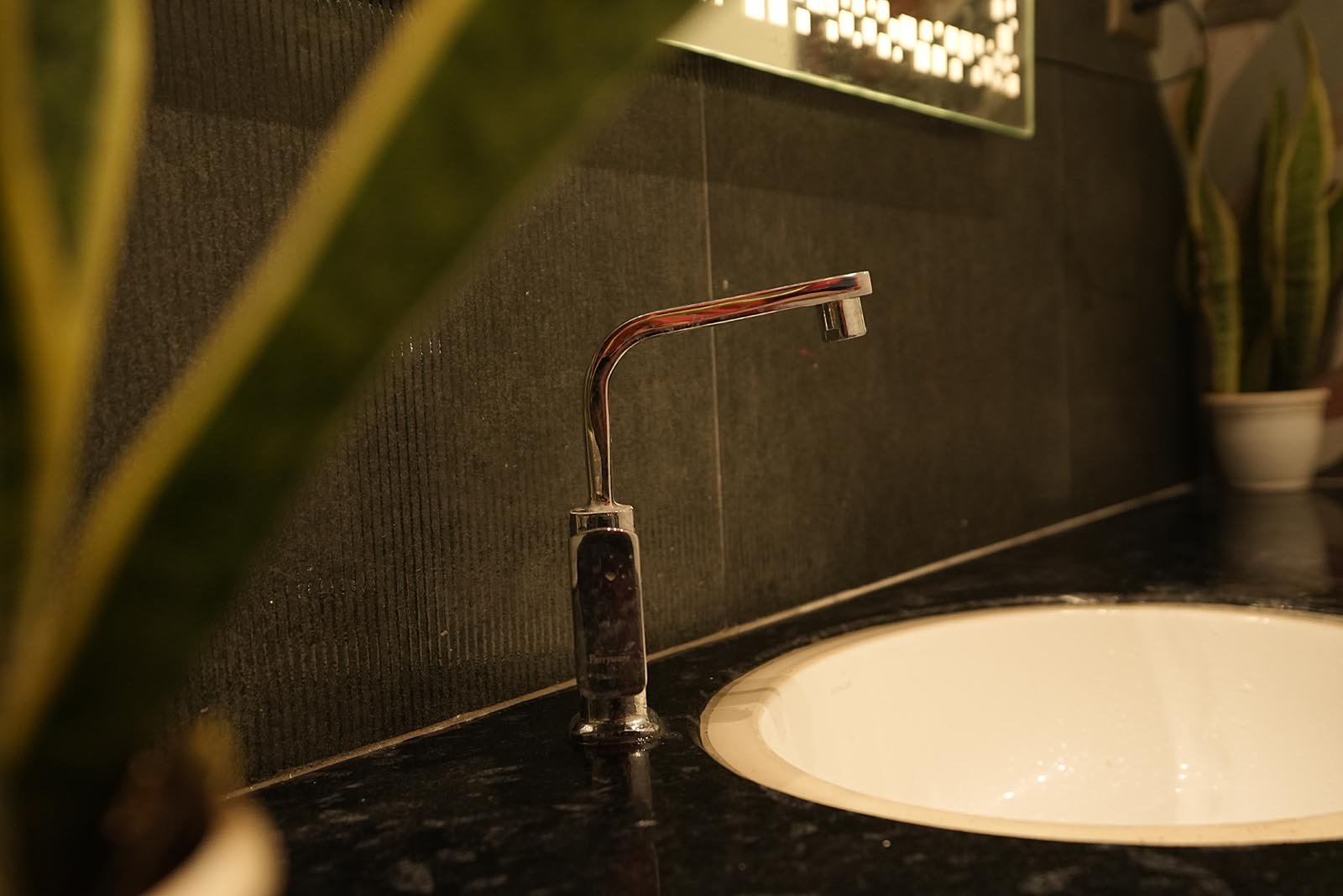 Mr. Rajesh Pitty & Mrs. Vani Gallery (12)