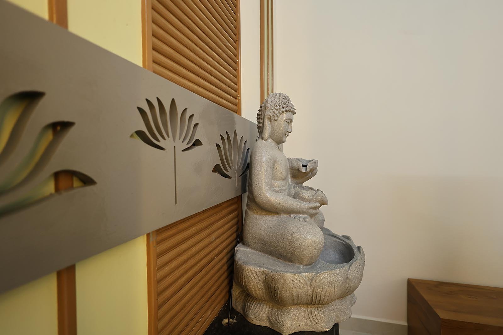 Mr. Suresh Babu Gallery (22)