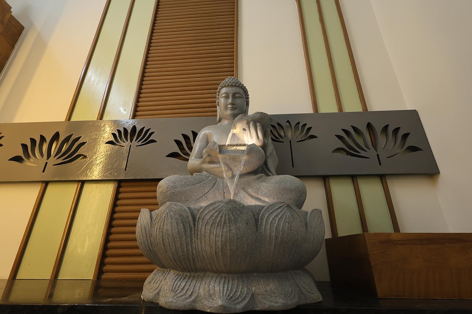 Mr. Suresh Babu Gallery (5)